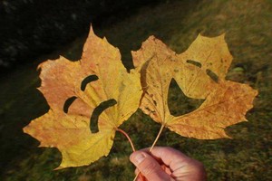 （示意圖源：互聯網）