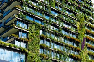 許多綠化將有助大廈、住房節省造涼能源。