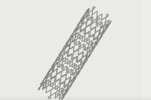 支架模型。（圖源：3DPrint）