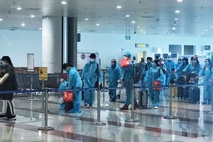 從芬蘭和瑞典撤回的310名公民於昨(6)日安全抵達內牌機場。（圖源：VNA）