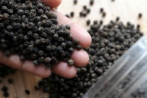 黑胡椒目前售價為每公斤5萬2000至5萬4000元。（示意圖源：互聯網）