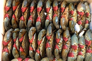 （示意圖源：互聯網）