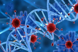 截至越南時間7日19時33分，全球新冠確診病例超過692萬例，累計死亡超過40萬例。（示意圖源：互聯網）