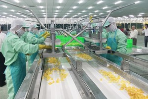 越南企業需要應用更多科技提高出口的農產品增加值。