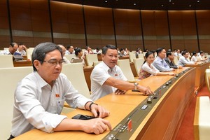 國會代表按鈕表決通過《青年法》(修訂)。（圖源：T.N）