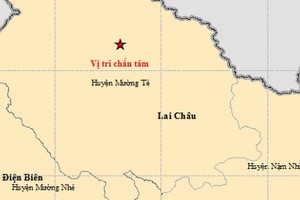 圖中星號表示震中位置。（圖源：地球物理院）