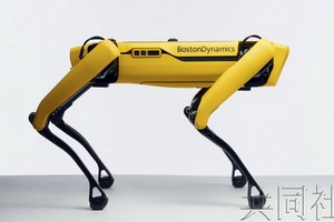 軟銀集團旗下的美國機器人開發公司“波士頓動力”宣佈，已開始在美國面向企業在線銷售四足步行機器狗“SPOT”。（圖源：共同社）