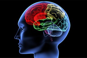 （示意圖源：互聯網）