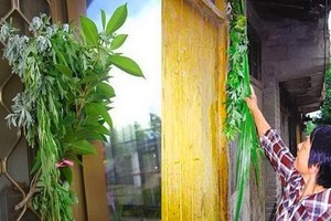 （示意圖源：互聯網）