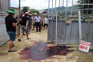 案發地點。（圖源：奠邊TV）