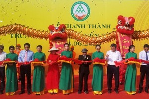 燕窩加工中心將供應出口市場60噸淨燕