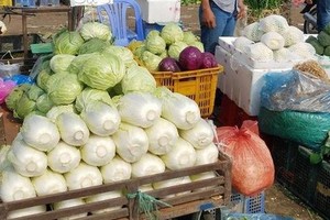 （示意圖源：互聯網）