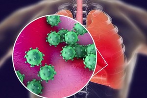 （示意圖源：互聯網）