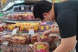 一名新加坡消費者在當地超市選購越南荔枝。（圖源：越通社）
