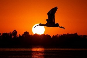 （示意圖源：互聯網）