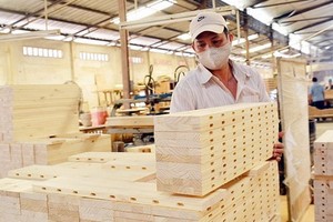 今年上半年，木材與木製品出口額約達49億8000萬美元，同比增2.4%。（圖源：阮幸）