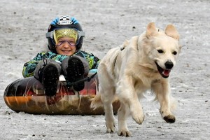 （示意圖源：互聯網）