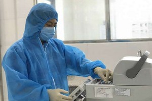 德農CDC衛生工作者對樣本進行白喉桿菌檢測。（圖源：中新）