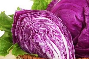 紫甘藍