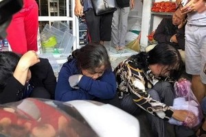 賣假草藥的團夥被當場抓獲。（圖源：俊阮）