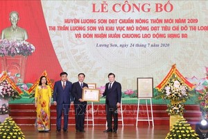 政府副總理鄭廷勇（右一）出席政府總理公認和平省良山縣達2019年新農村標準的《決定》公佈儀式。（圖源：越通社）