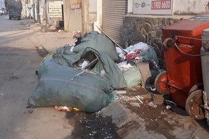 蔡氏雁街的垃圾黑點被處置前後情況。