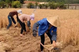 （示意圖源：互聯網）