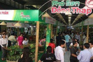 2020年消費需求刺激計劃被視為向來最大規模的商業促進計劃，共有近500家企業參加，在650個展位售賣數千種商品。