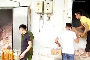 職能力量對慶輝食品有限責任公司的食品冷藏庫進行檢查。（圖源：同奈報）