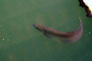 （示意圖源：互聯網）