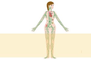 （示意圖源：互聯網）