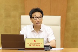 政府副總理武德膽。（圖源：越通社）