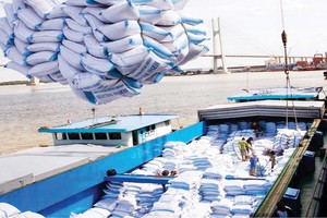 EVFTA被視為越南農產品的出口機遇。