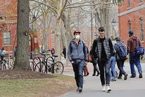 不少大學在疫情期間將部份本科課程改為網上授課。（圖源：路透社）