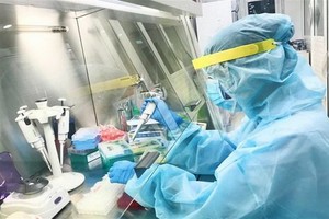 圖為新冠病毒檢測。（圖源：越通社）