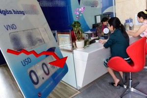 （示意圖源：互聯網）