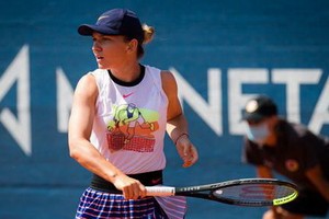 哈勒普（圖源：互聯網）