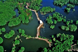 芹耶紅樹林獲聯合國教科文組織列入世界生物圈儲備區名錄。