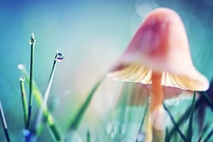 （示意圖源：互聯網）