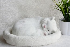 （示意圖源：互聯網）