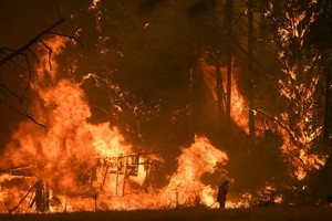 澳大利亞新州政府已接受對去年夏天林火災害進行調查後提出的全部76項建議。（圖源：AAP）