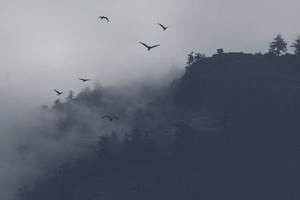 （示意圖源：互聯網）