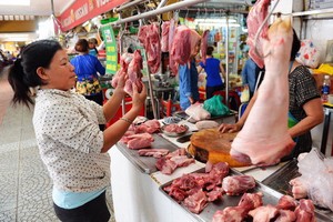 豬肉價格同比上漲70.95%。（圖源：梅香）