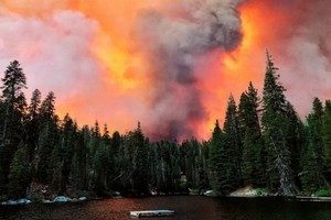 當地時間6日，美國加利福尼亞州的山火規模已達該州歷史最嚴重​​程度。（圖源：互聯網）