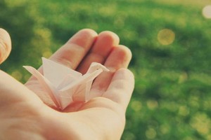 （示意圖源：互聯網） 