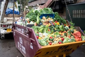 德國聯邦食品和農業部部長尤利婭‧克勒克納表示，德國人不僅購買量過大，還特別急於扔掉保質期剛到的食品。（示意圖源：互聯網）