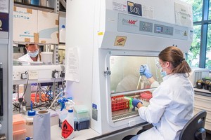 科學家團隊正在研發安全、有效的新冠疫苗方面取得積極進展。（圖源：Getty Images）