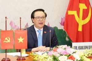 黨中央委員、中央對外部長黃平軍。（圖源：越通社）