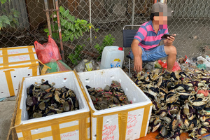 圖為守德郡13號國道旁擺賣的螃蟹。（圖源：勞動者報）