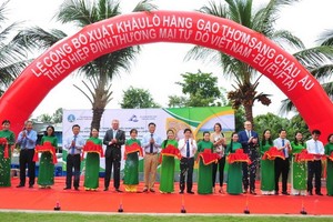 天祿集團向歐洲出口首批香米公佈儀式。（圖源：N.N）